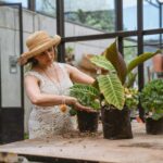 Tips for Creating a Sustainable Home Garden Throughout the Year
